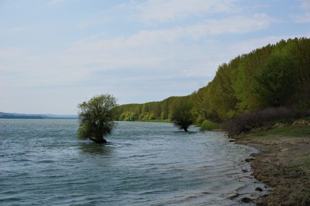 Dunărea la Ciuperceni-Desa