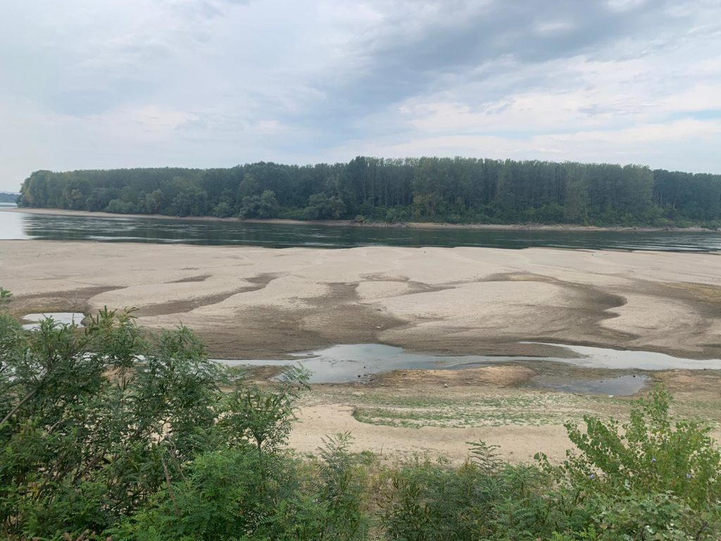 Dunărea la Gârla Mare