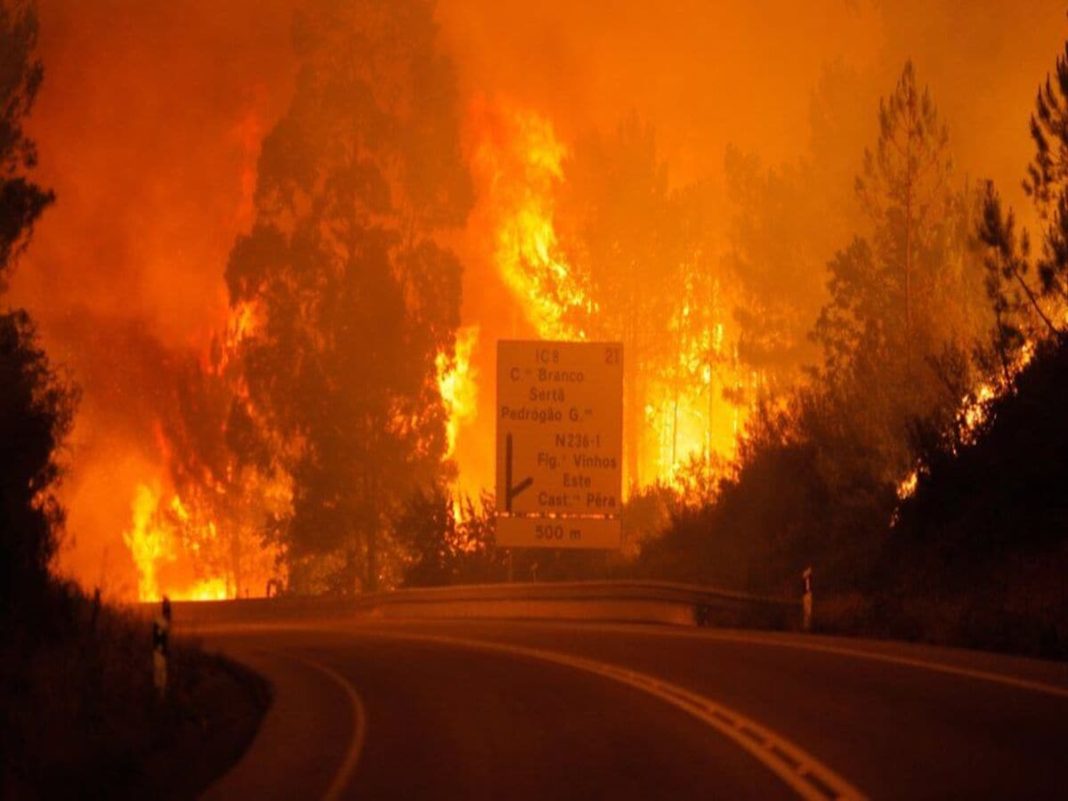 Portugalia, traumatizată de incendiile mortale din 2017, care au ucis peste 100 de persoane, a fost lovită la începutul lunii iulie de o serie de incendii din cauza temperaturilor ridicate