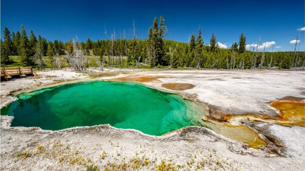 Un picior de om a fost găsit într-un bazin termal din parcul Yellowstone
