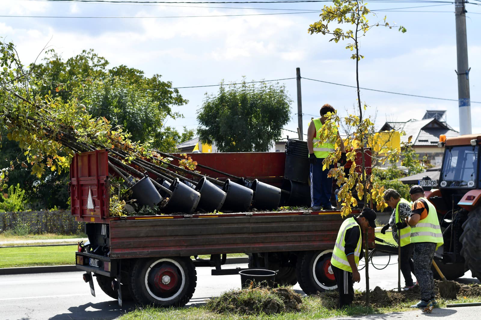 RAADPFL Craiova cumpără arbori şi arbuşti de 1,6 milioane de lei, pentru plantarea de toamnă