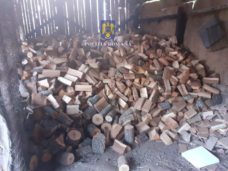 Au fost indisponibilizați 162,33 metri cubi de material lemnos