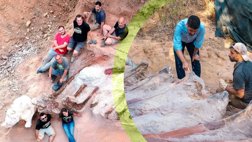 Schelet de dinozaur găsit într-o grădină din Portugalia