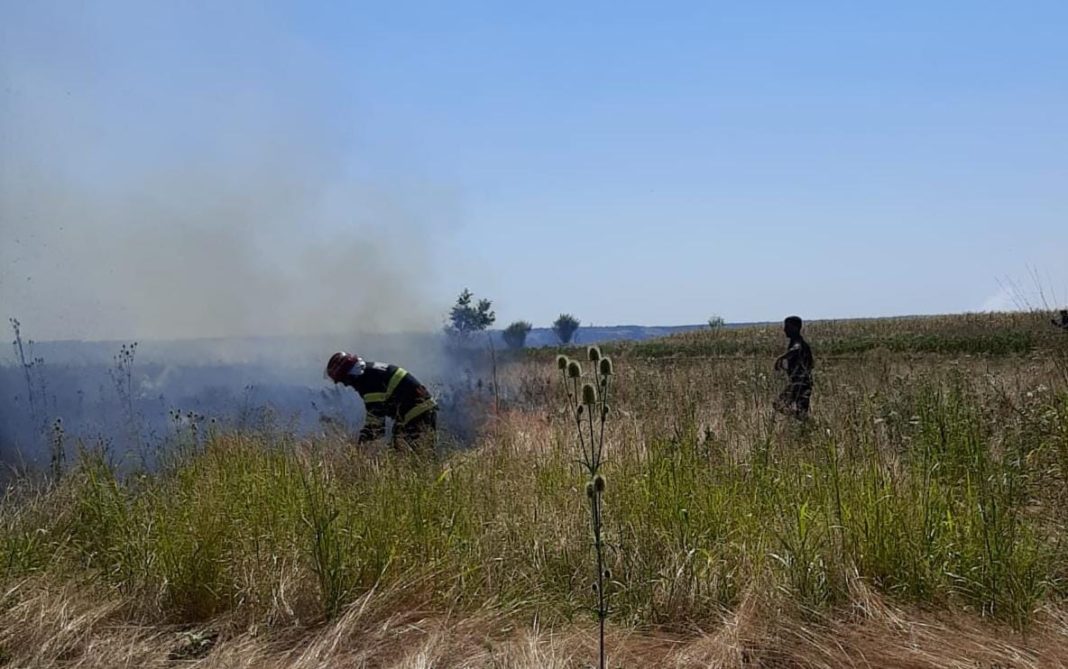 Olt: Incendii de vegetație în trei comune