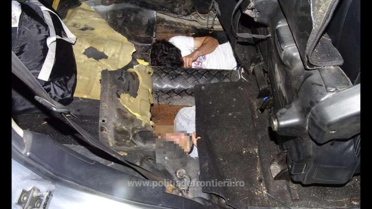 (VIDEO) Doi sirieni, ascunşi în podeaua unui autoturism, descoperiţi la Calafat