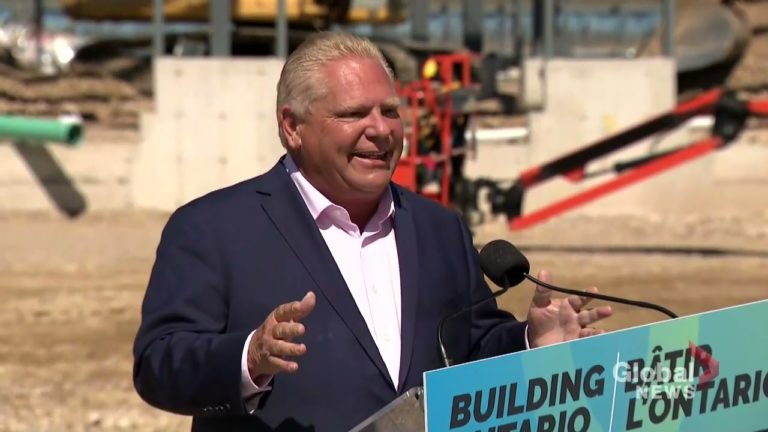 (VIDEO) Un politician înghite accidental o albină în timpul unei conferințe de presă