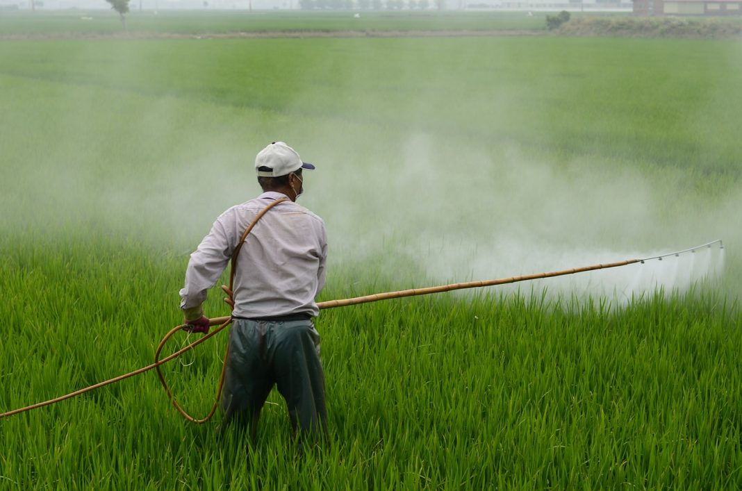 România, obligată să reducă utilizarea pesticidelor cu 35% până în 2030, Italia cu 62%, Germania cu 55%