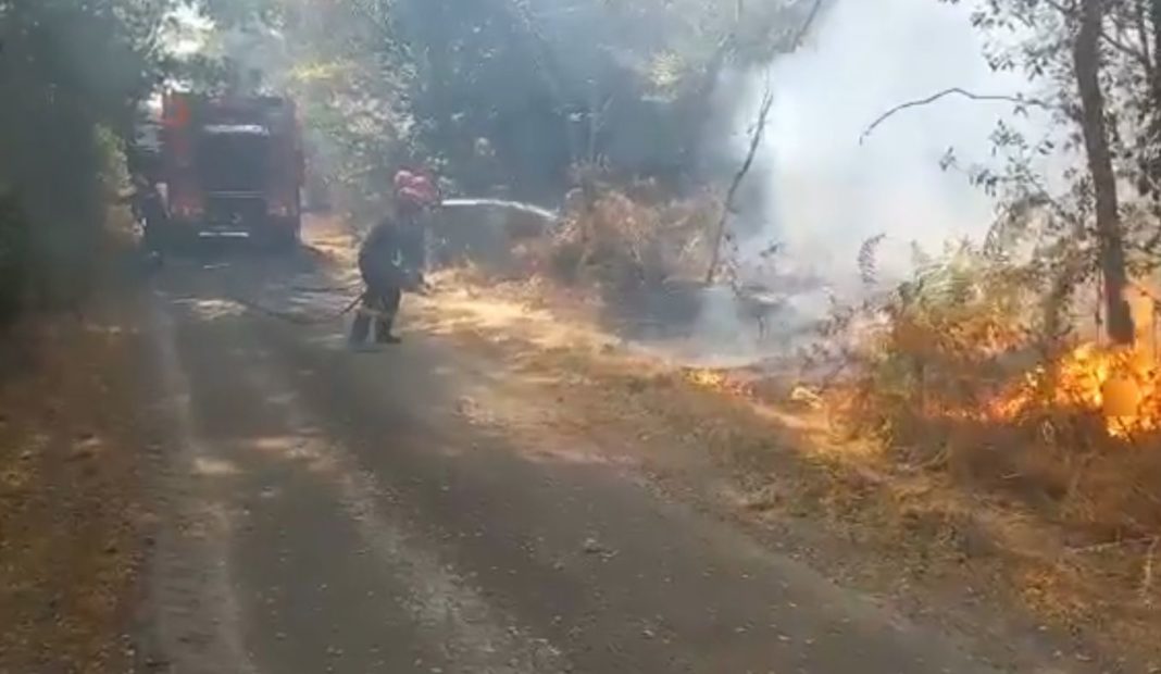 Pompierii români, în misiune pentru stingerea incendiilor din Franța