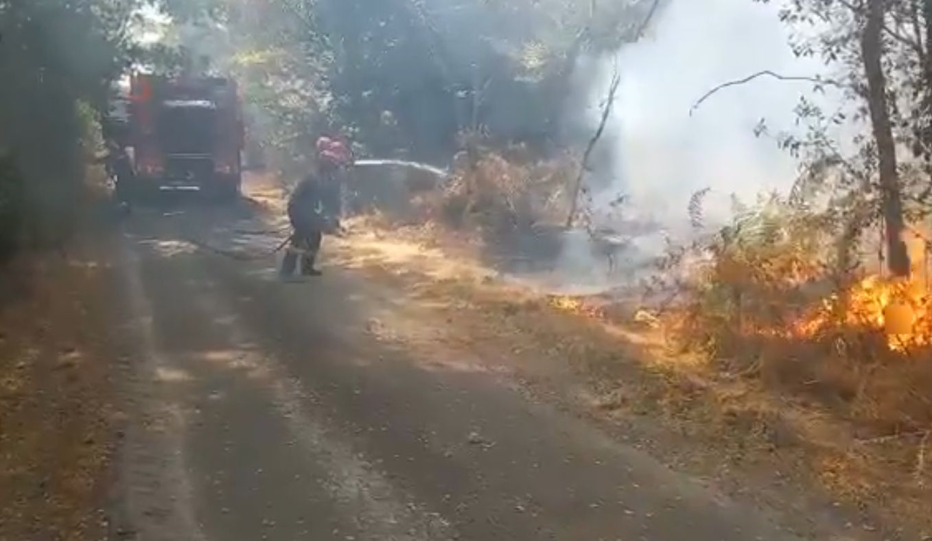 Pompierii români, în misiune pentru stingerea incendiilor din Franța