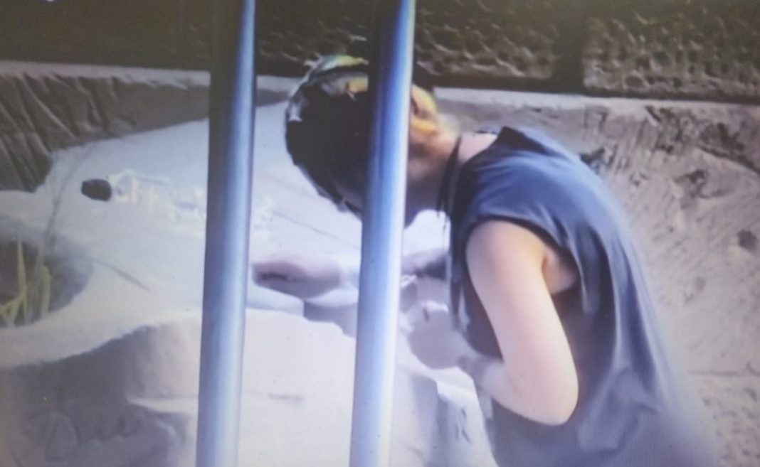 scrijelit pod O tânără a fost sancționată de Poliția Locală pentru că a desenat pe unul dintre piciorele podului suspendat din Parcul