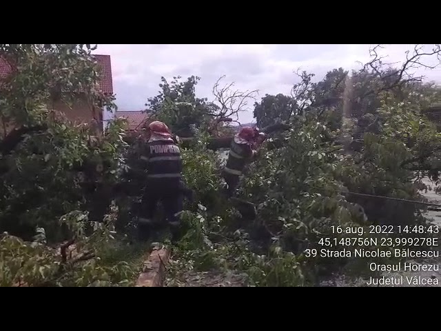 (VIDEO) Trafic blocat la Horezu. Trei stâlpi de electricitate, rupți de vânt