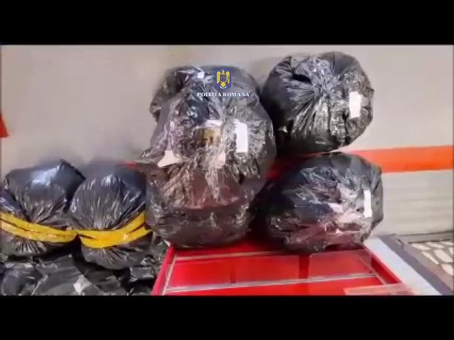 (VIDEO) Bunuri confiscate în urma raziei dintr-un centru comercial din Capitală