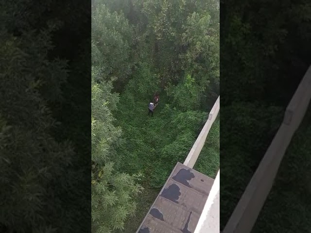 (VIDEO) Un jandarm, aflat în timpul liber, a prins un hoţ