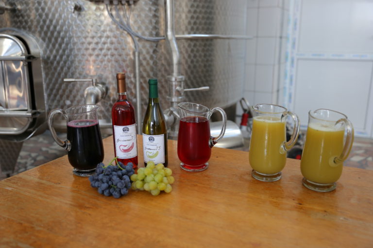 Universitatea din Craiova a început îmbutelierea de vinuri la Staţiunea "Banu Mărăcine"