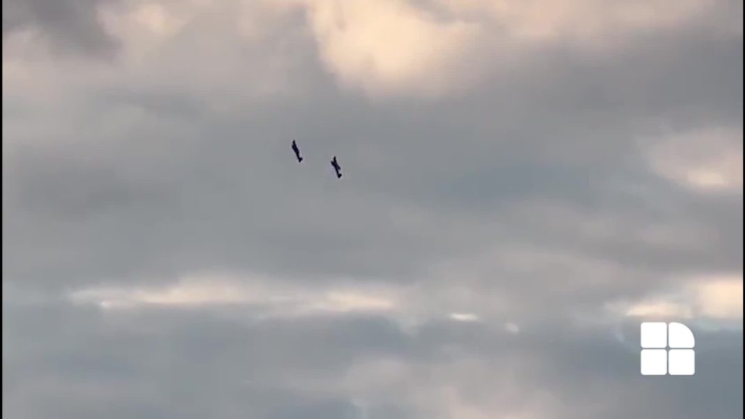 Două avioane de acrobație s-au ciocnit în aer și s-au prăbușit, în Germania