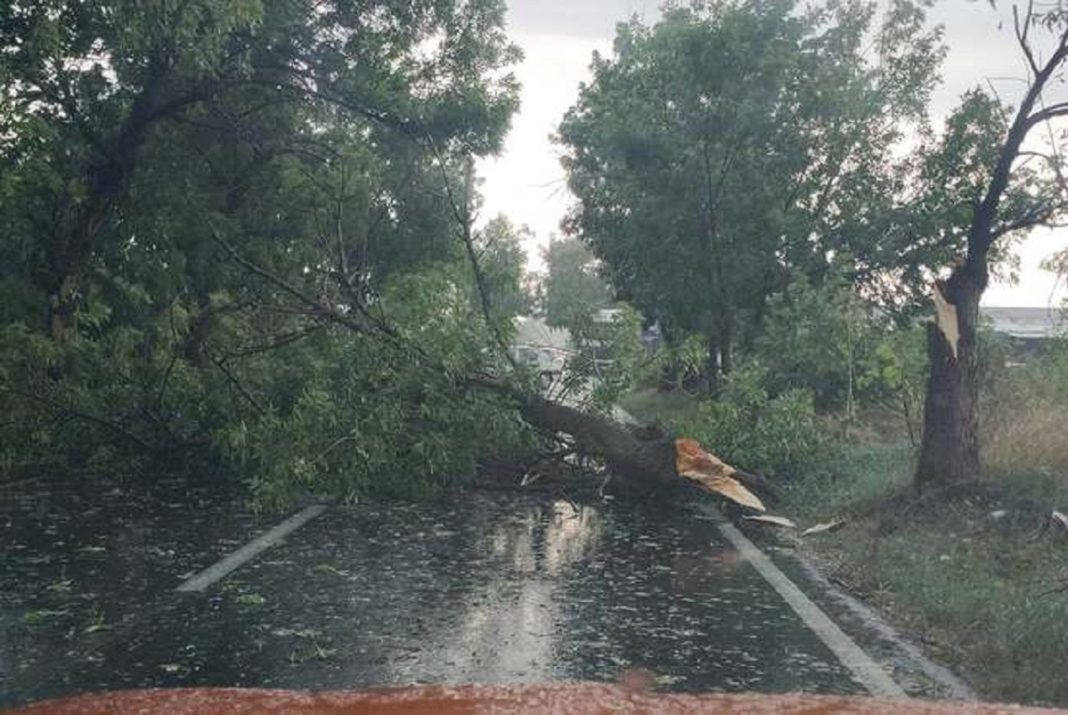 Vântul puternic face ravagii în Olt