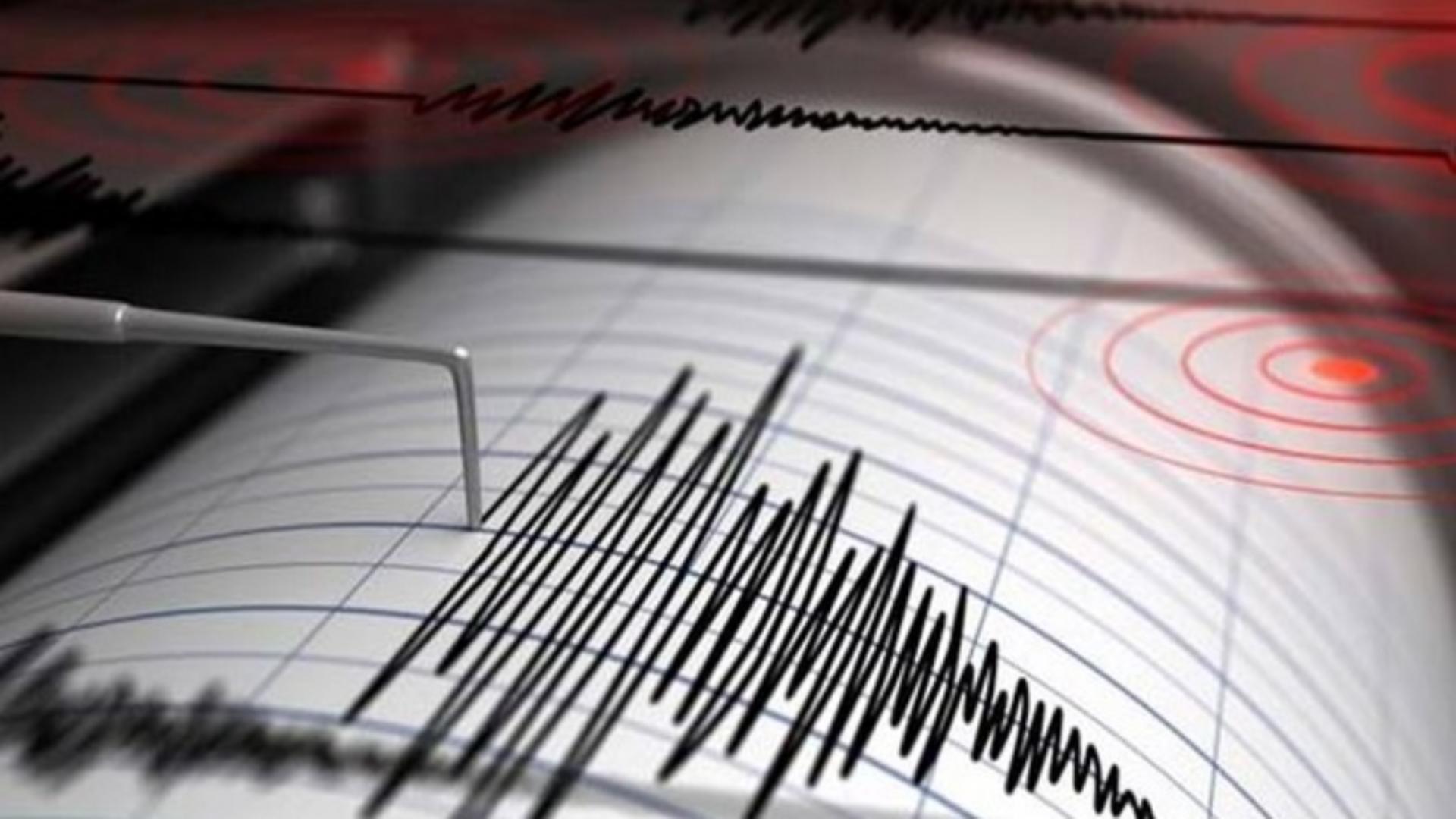 Un cutremur slab cu magnitudinea 3 s-a produs în Timiș