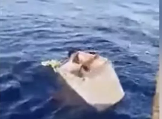 Un pescar a supraviețuit 11 zile într-un frigider în Oceanul Atlantic după ce barca sa s-a scufundat