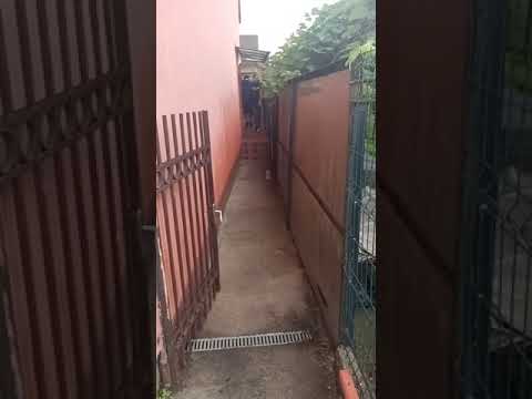 (VIDEO) Mehedinţi: Reţinut pentru că fugea de închisoare