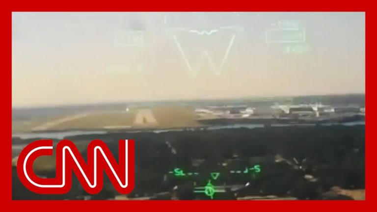 (VIDEO) O pasăre a doborât un avion al marinei americane