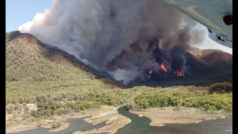 (VIDEO) Incendiu de proporții în stațiunea Marmaris din Turcia