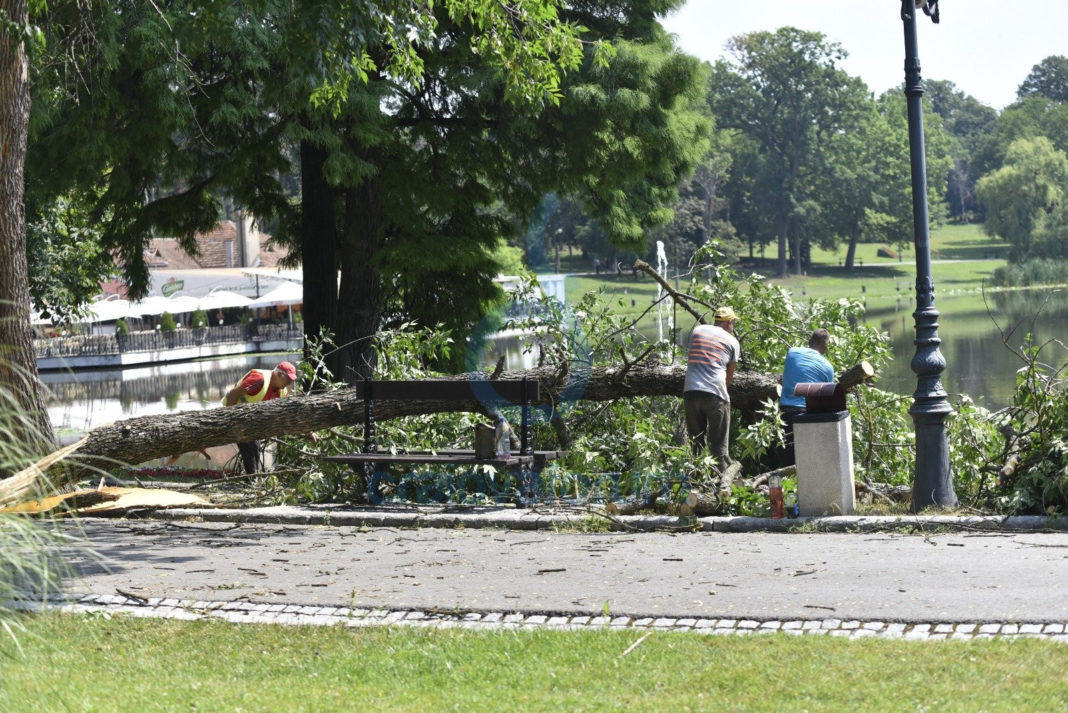 Parcurile din Craiova, închise din cauza vântului