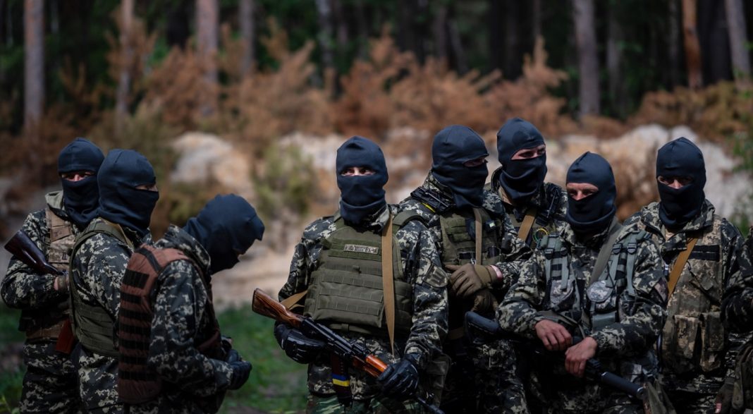 Danemarca va antrena soldaţi ucraineni