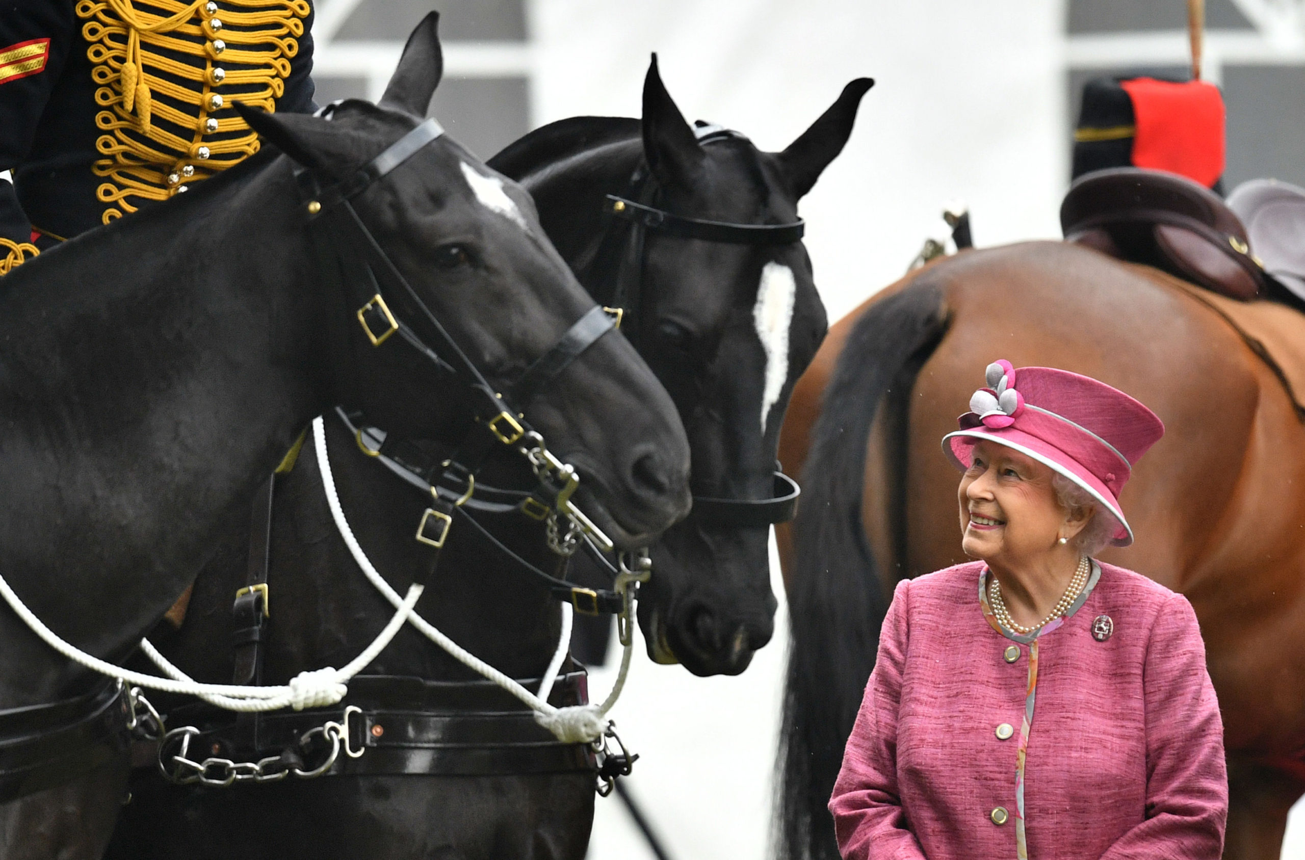 Managerul de curse al reginei, John Warren: "Sunt sigur că, dacă regina nu ar fi fost crescută ca monarh, și-ar fi găsit o vocație cu caii. Era pur și simplu în ADN-ul ei"