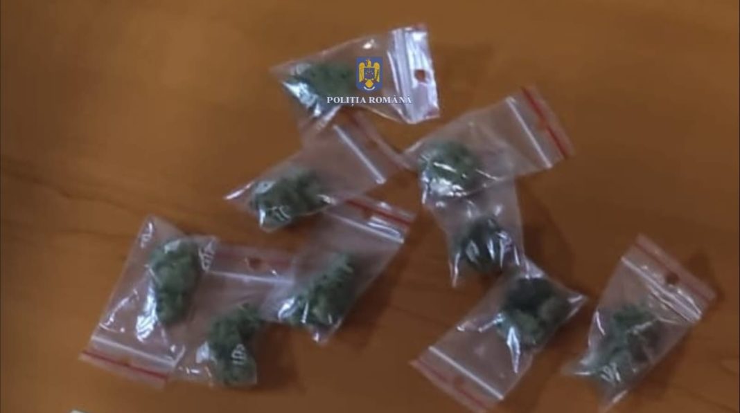 În borsetă, poliţiştii au găsit 9 punguțe din material plastic ce conțineau fragmente vegetale de culoare verde – olive