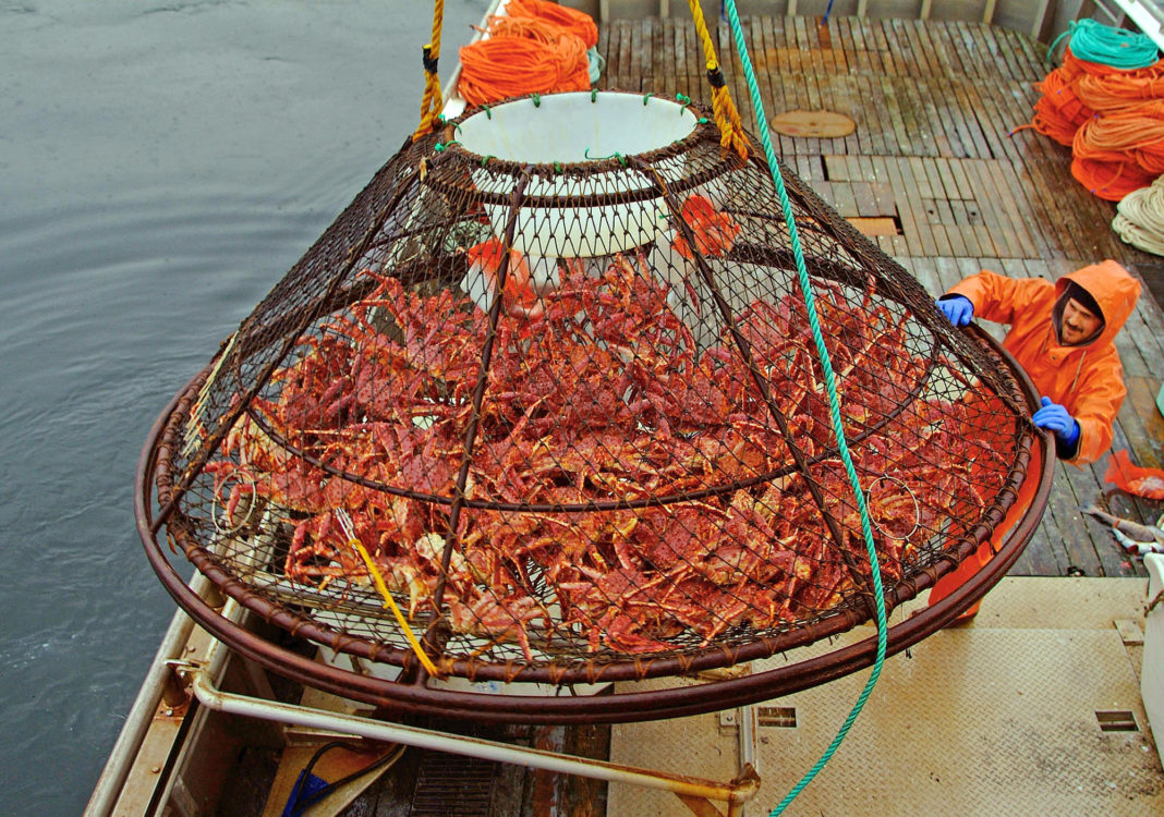 Pescuitul crabilor de zăpadă, interzis pentru prima dată în istorie