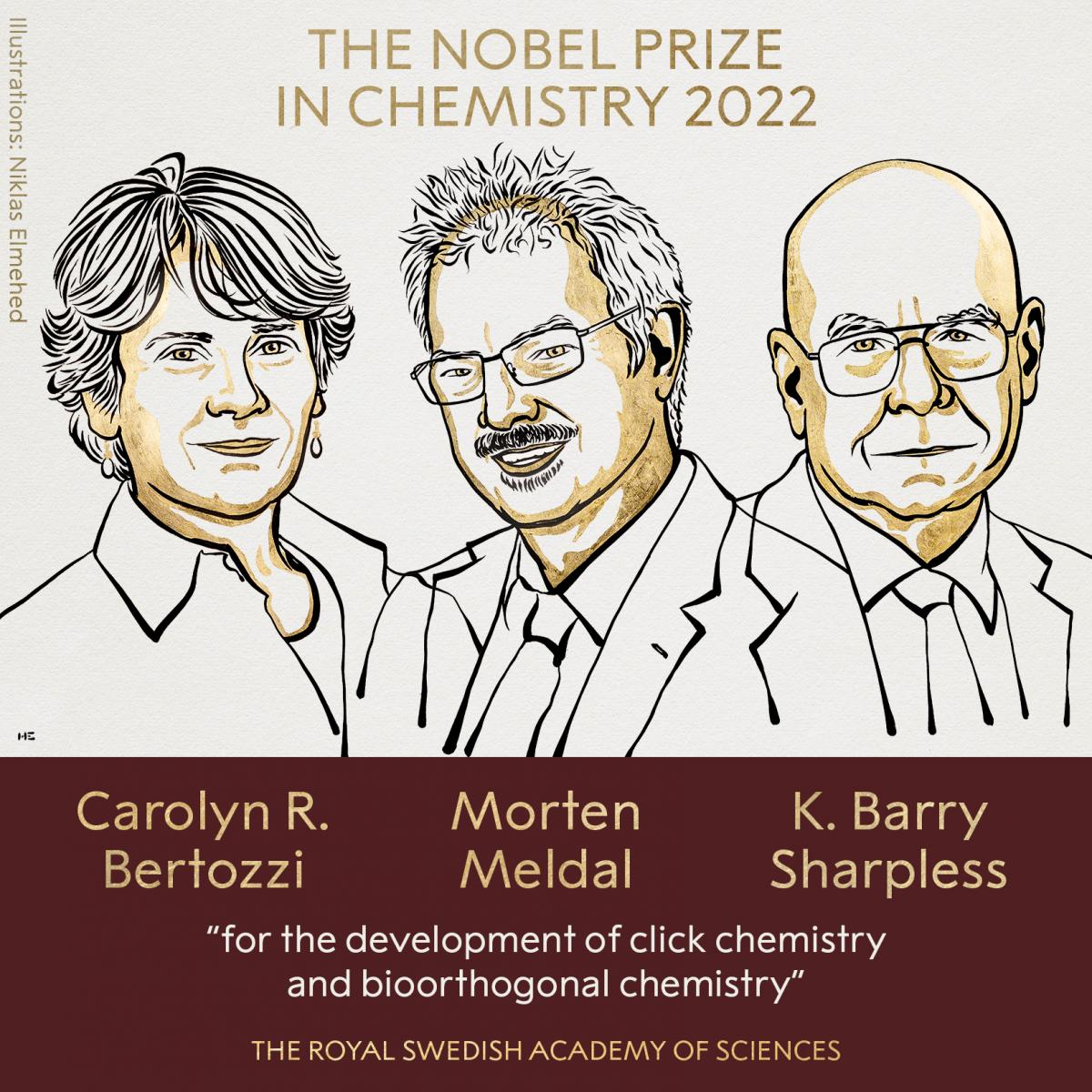 Premiul Nobel pentru Chimie s-a acordat pentru dezvoltarea chimiei click și bio-ortogonale