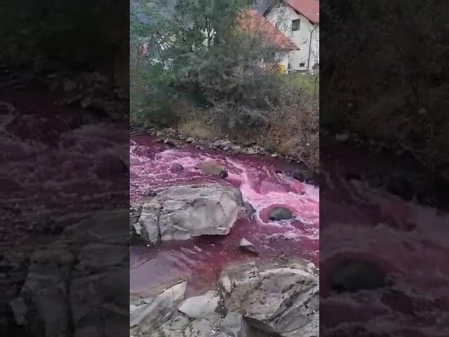 (VIDEO) Apa s-a colorat în roșu pe râul Sălăuța