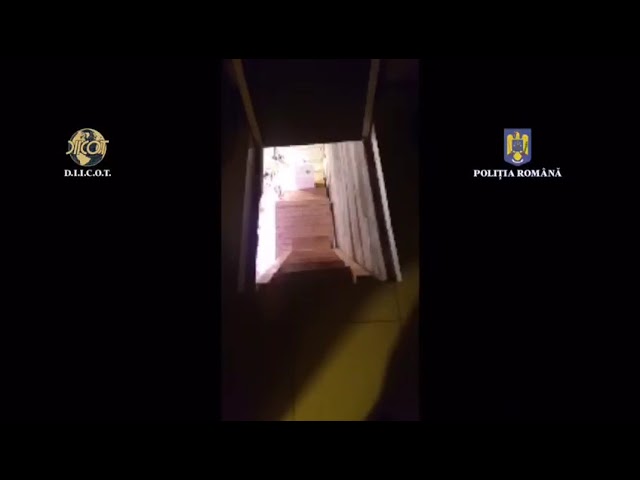 (VIDEO) 82 de percheziții la persoane suspectate de trafic de droguri de mare risc