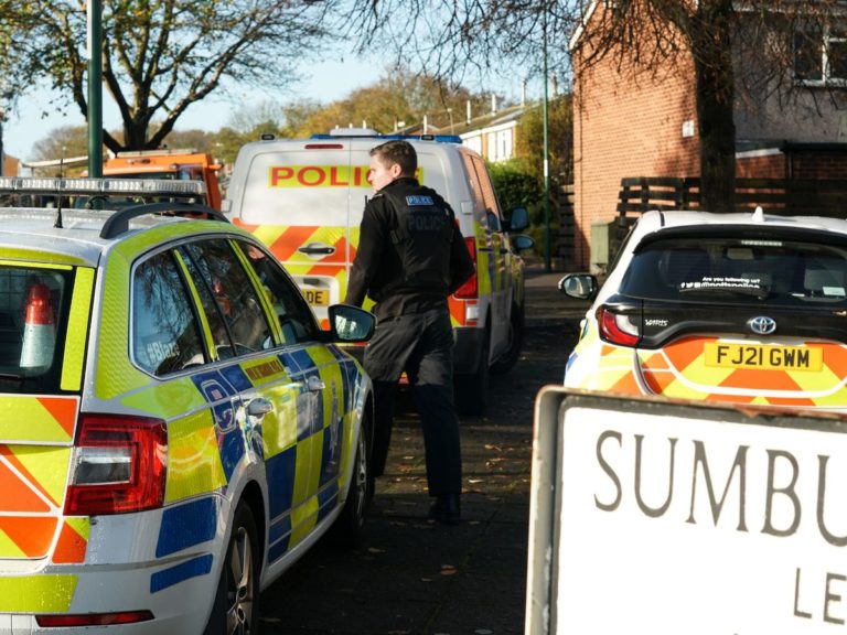 (VIDEO) Bărbat, arestat după ce două fetiţe au murit într-un incendiu