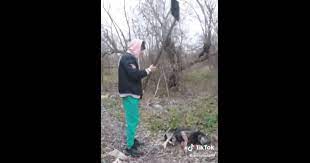 Tânăr anchetat după ce a omorât un câine cu lopata și s-a lăudat pe TikTok