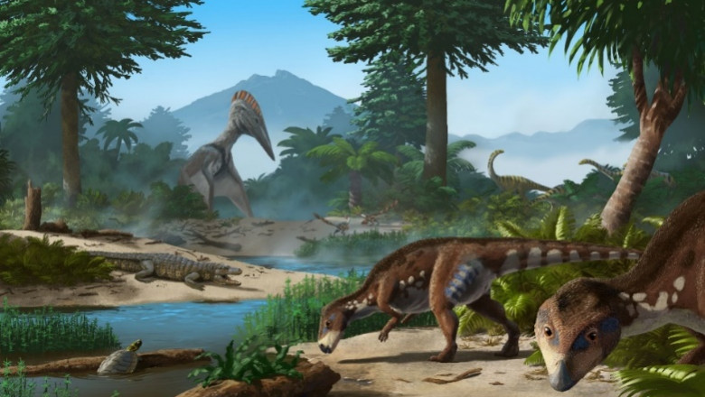 O nouă specie de dinozaur a fost descoperită în Țara Hațegului (sursa foto: Digi24)