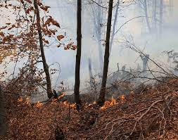 Incendiu pe 70 hectare de pădure 