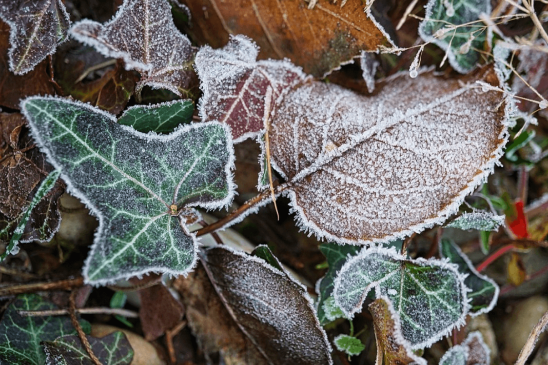 Un val de aer polar va ajunge în România