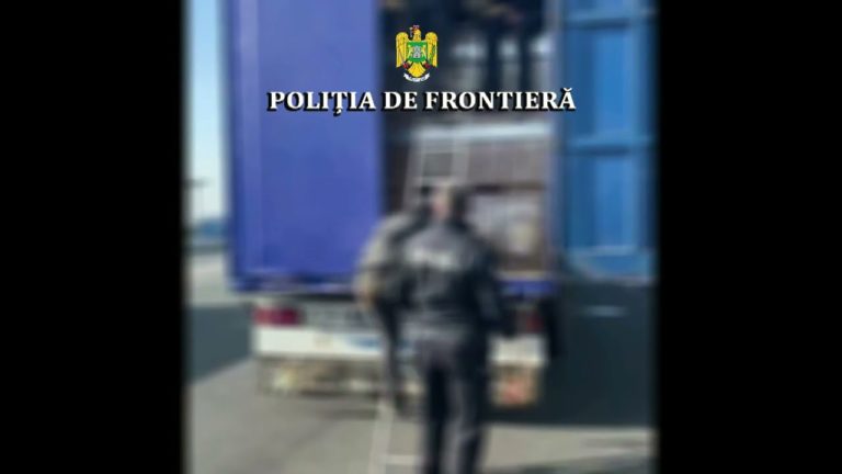 (VIDEO) 80 de migranți, depistați la frontiera cu Ungaria