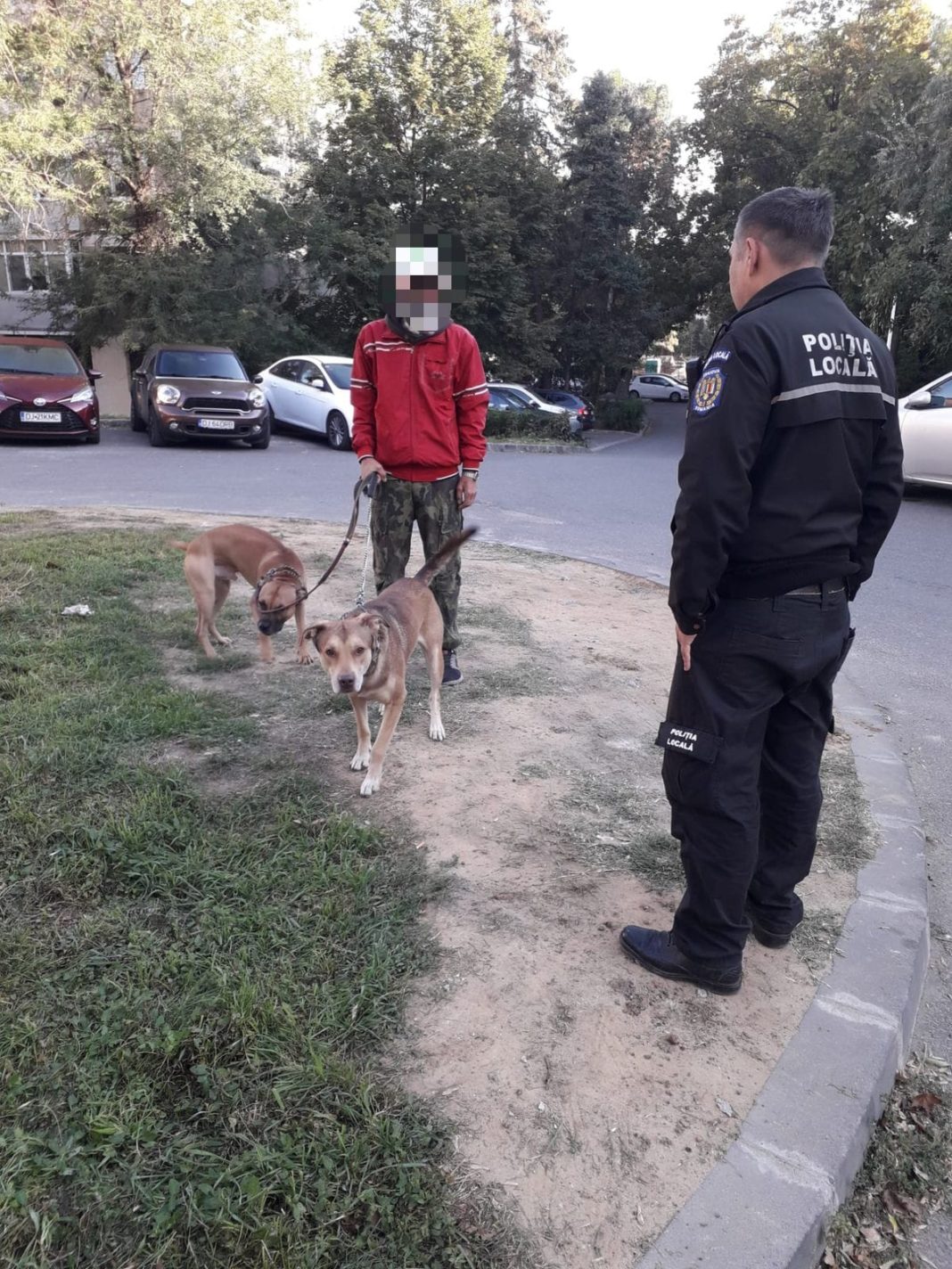 Poliţia Locală Craiova a „atacat“ pe toate fronturile (Foto: Facebook) Poliţia Locală Craiova a „atacat“ pe toate fronturile (Foto: Facebook)