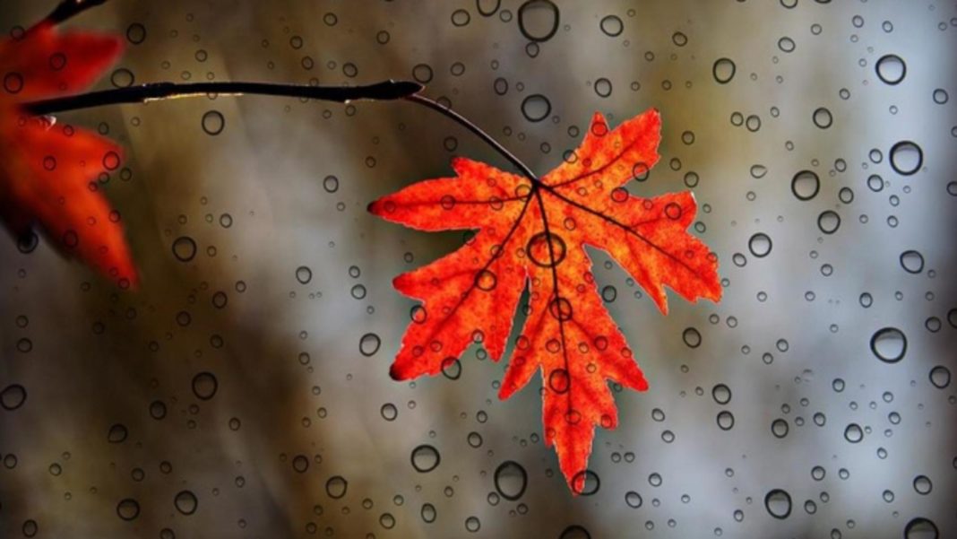 Prognoza meteo pentru luna noiembrie