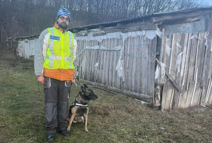 Un tânăr care a vrut să se sinucidă a fost salvat de un câine poliţist