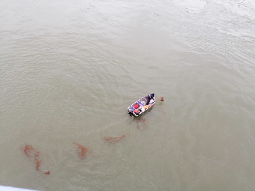 d5b4b397-99b0-4a68-bb9a-8471aaeeedbf