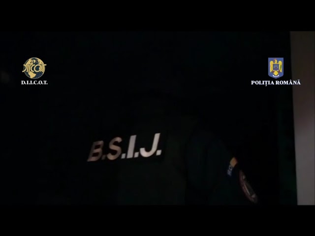 (VIDEO) Percheziţii la persoane bănuite de înşelăciune cu consecinţe deosebit de grave