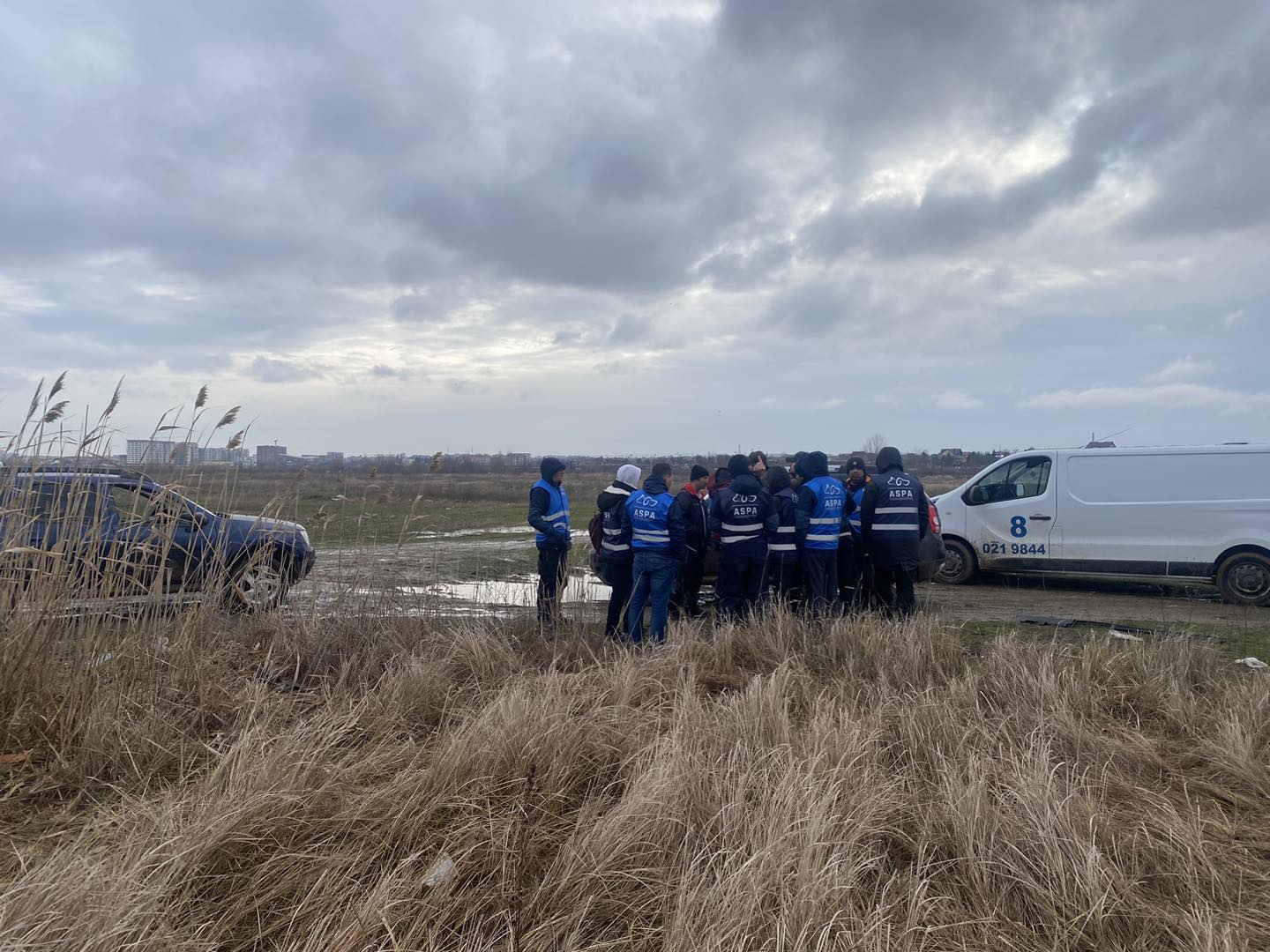 ASPA: 12 câini, capturaţi duminică în zona Lacul Morii