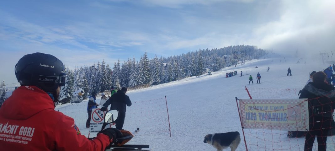 Cinci pârtii de schi, pregătite la Rânca pentru turiști