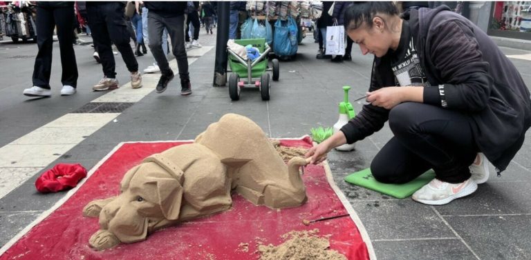 Muzele Angelei sunt proprii căţei