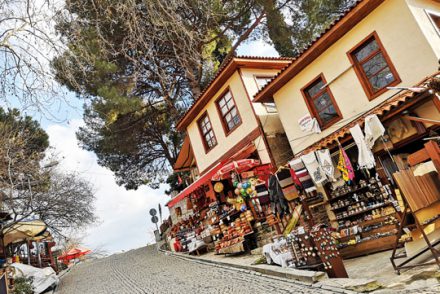 Birgi este amplasat la 7 km de orașul Odemiș din provincia Izmir