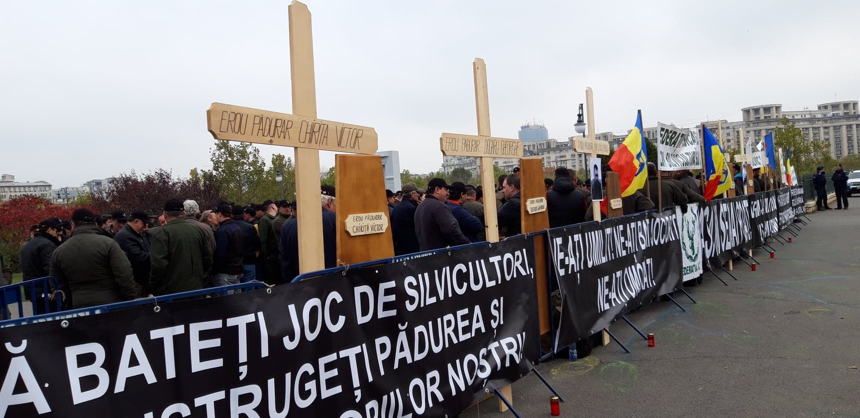 Câteva sute de sindicalişti din silvicultură şi asociaţii profesionale şi patronale din domeniu protestează, joi, în faţa sediului Guvernului