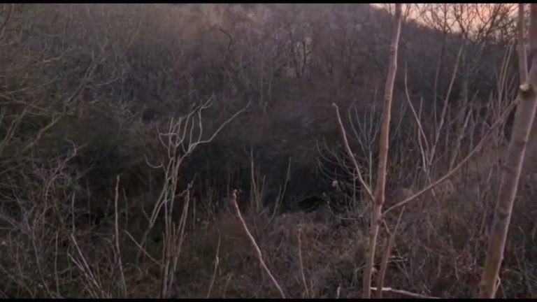 (VIDEO) Un oltean de 63 de ani, rănit într-un accident